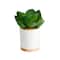 6'' Succulent Artificial Plant in White Ceramic Planter